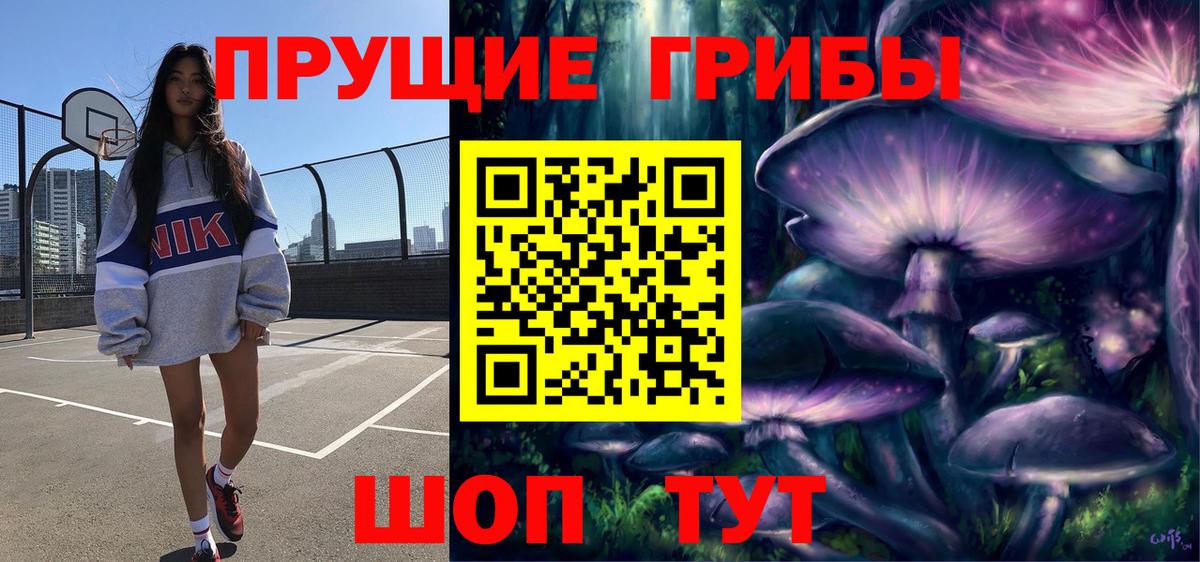 Галлюциногенные грибы Psilocybe Набережные Челны